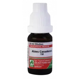 Abies Canadensis
