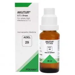Adel 29