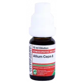 Allium Cepa