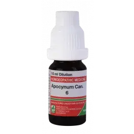 Apocynum Can