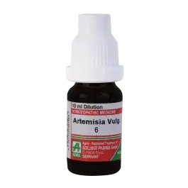 Artemisia Vulgaris