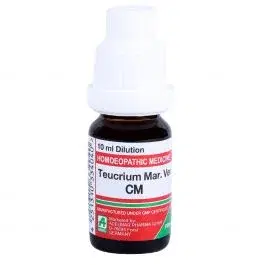 Teucrium Mv