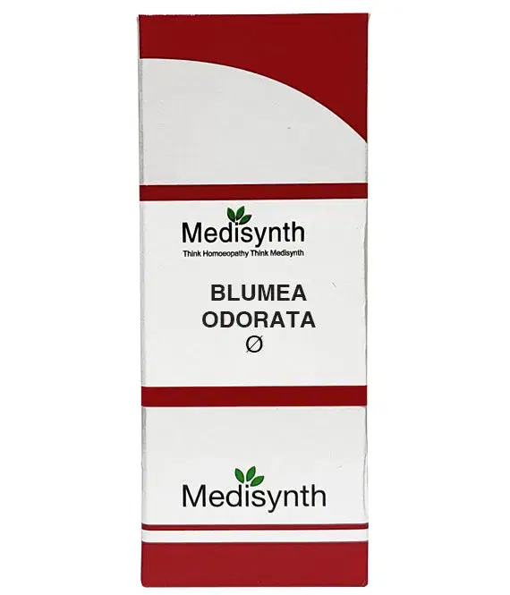 BLUMEA ODORATA - Image 1