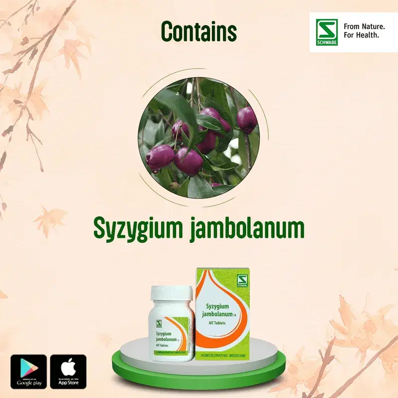 Dr. Willmar Schwabe India Syzygium jambolanum Dilution