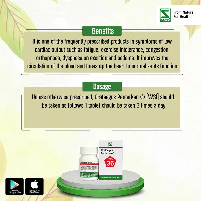 Dr. Willmar Schwabe India Crataegus Pentarkan*