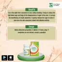 Dr. Willmar Schwabe India Syzygium jambolanum Dilution - Image 5