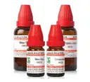 Dr. Willmar Schwabe India Mellilotus officinalis Dilution - Image 2