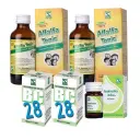 Dr. Willmar Schwabe India General Well Being Pack for Family - Image 2