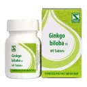 Dr. Willmar Schwabe India Ginkgo biloba Dilution - Image 1