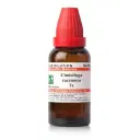 Dr. Willmar Schwabe India Cimicifuga racemosa Dilution - Image 1