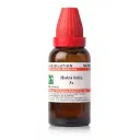 Dr. Willmar Schwabe India Hedra helix Dilution - Image 1