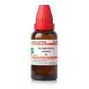 Dr. Willmar Schwabe India Scrophularia nodosa Dilution - Image 1