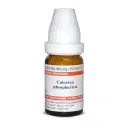 Dr. Willmar Schwabe India Calcarea phosphorica LM - Image 1