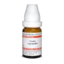 Dr. Willmar Schwabe India Carbo vegetabilis LM - Image 1