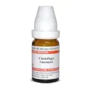 Dr. Willmar Schwabe India Cimicifuga racemosa LM - Image 1