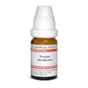 Dr. Willmar Schwabe India Ferrum metallicum LM - Image 1