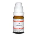 Dr. Willmar Schwabe India Kali carbonicum LM - Image 1