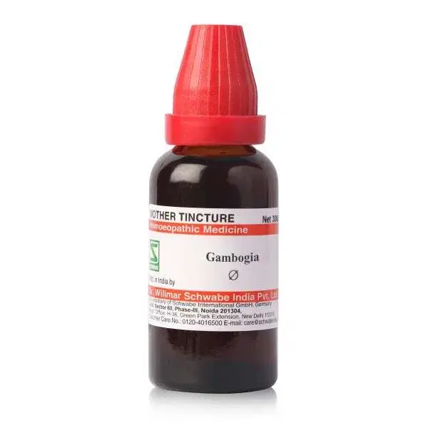 Dr. Willmar Schwabe India Gambogia (Garcinia morella) MT