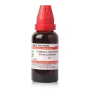 Dr. Willmar Schwabe India Gaultheriae aetheroleum (Oleum gaultheriae) MT - Image 1