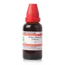 Dr. Willmar Schwabe India Melissa officinalis (Melissa) MT - Image 1