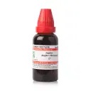 Dr. Willmar Schwabe India Zingiber (Zingiber officinale) MT - Image 1