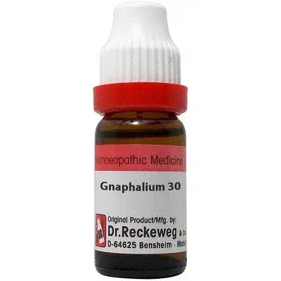Wheezal Gnaphalium Polycephalum Q