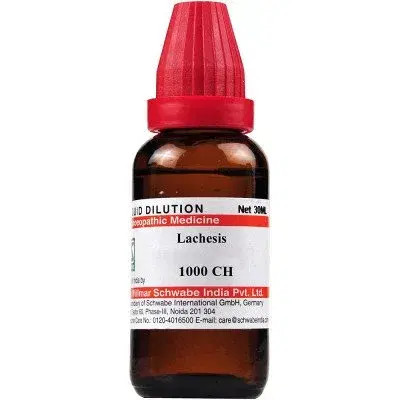 Wheezal Lachesis Dilution