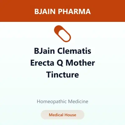 BJain Clematis Erecta Q Mother Tincture BJain Clematis Erecta Q Mother Tincture - Image 1