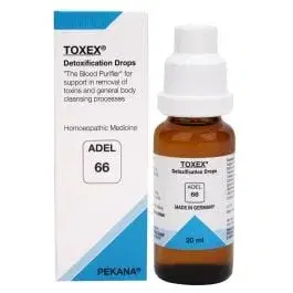 Adel 66