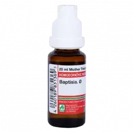 Adel Baptisia O