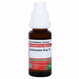 Adel Echinacea Ang O