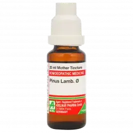 Adel Pinus Lamb O