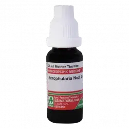 Adel Scrophularia Nod O