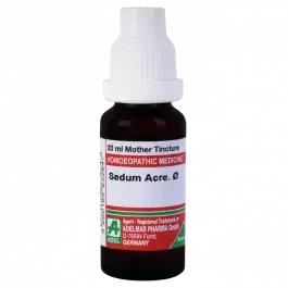Adel Sedum Acre O