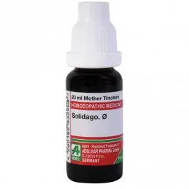 Adel Solidago O