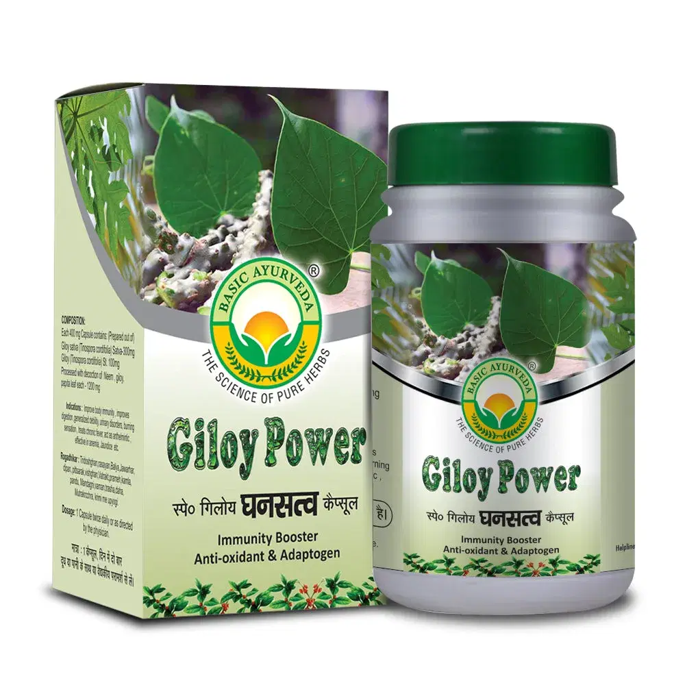 Basic Ayurveda Giloy Power 40 Capsules Basic Ayurveda Giloy Power 40 Capsules - Image 1