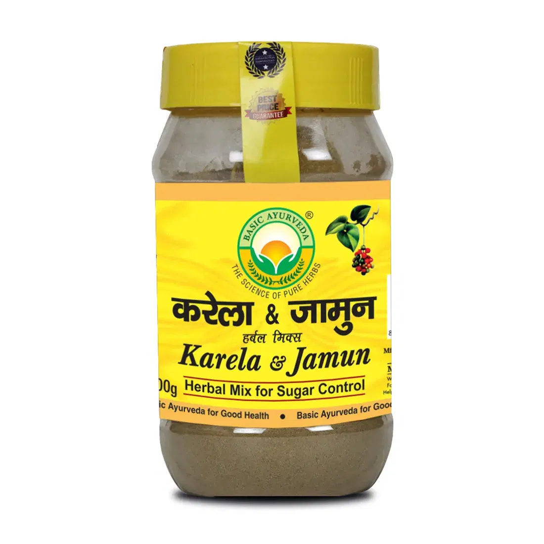 Basic Ayurveda Karela & Jamun Mix For Sugar Control Powder 200 Gram Basic Ayurveda Karela & Jamun Mix For Sugar Control Powder 200 Gram - Image 1
