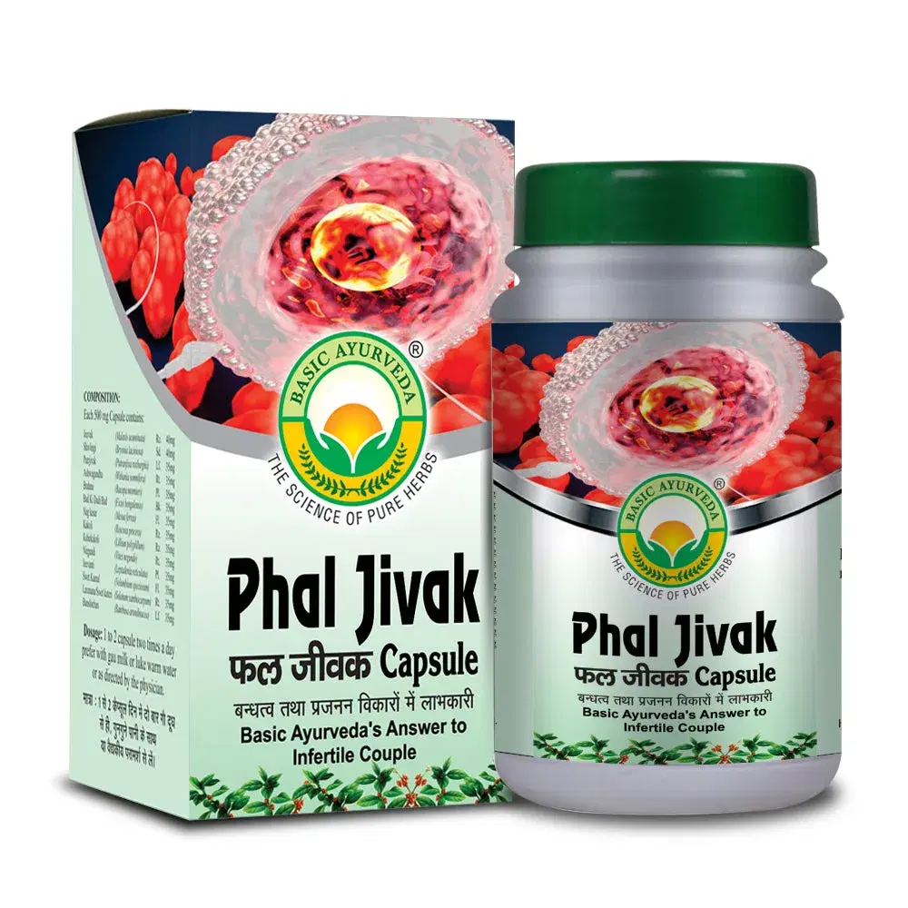 Basic Ayurveda Phal Jivak 40 Capsule Basic Ayurveda Phal Jivak 40 Capsule - Image 1