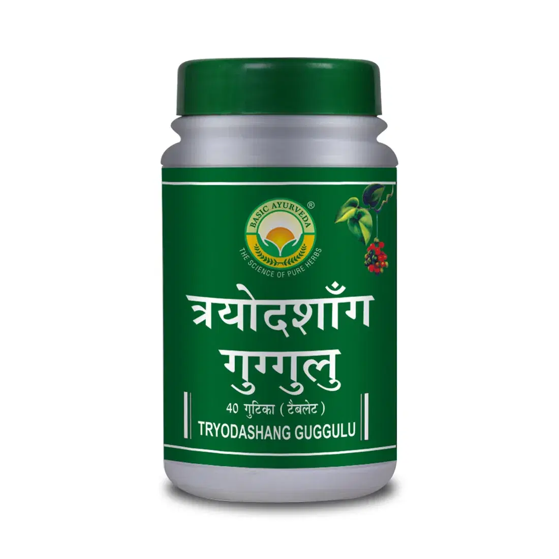 Basic Ayurveda Tryodashang Guggulu 40 Tablet Basic Ayurveda Tryodashang Guggulu 40 Tablet - Image 1