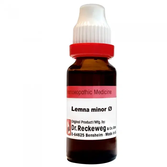 Lemna minor Dilution