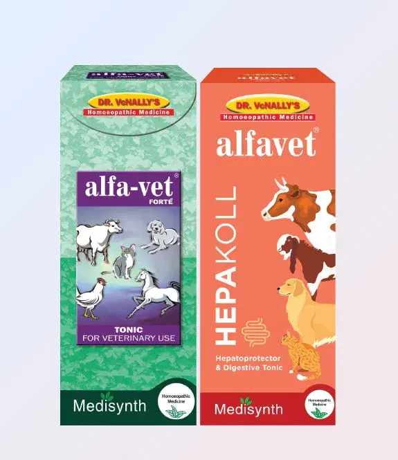 Alfavet Combo Pack Alfavet Combo Pack - Image 1