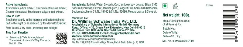 Dr. Willmar Schwabe India B&T Dental Care Gel