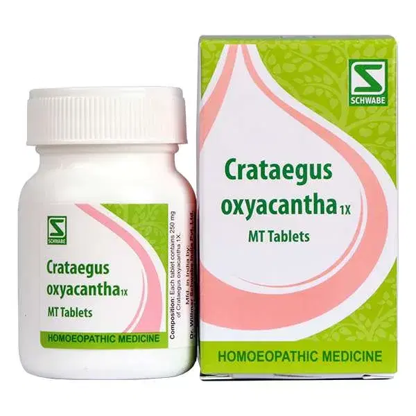 Dr. Willmar Schwabe India Crataegus oxyacantha 1x MT tabs