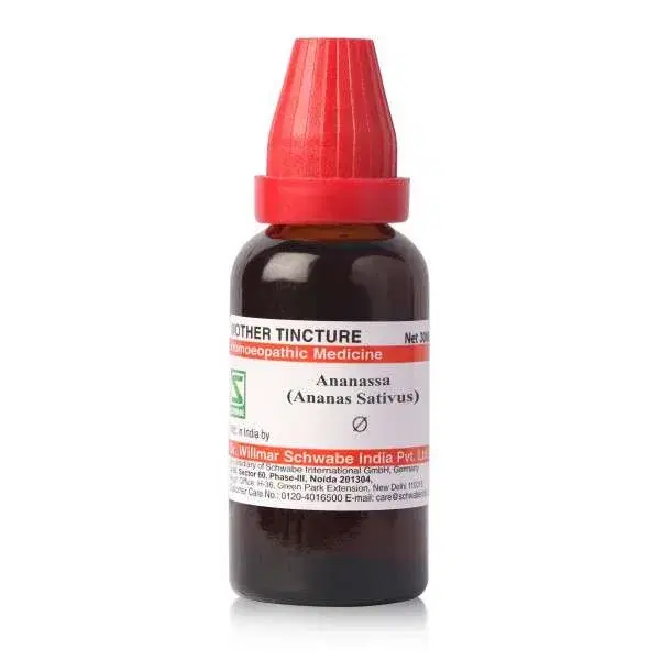 Dr. Willmar Schwabe India Ananassa (Ananas Sativus) Mother Tincture