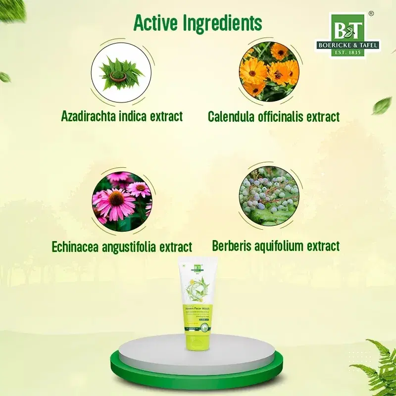 Dr. Willmar Schwabe India B&T Cleansing Neem Face Wash Dr. Willmar Schwabe India B&T Cleansing Neem Face Wash - Image 5