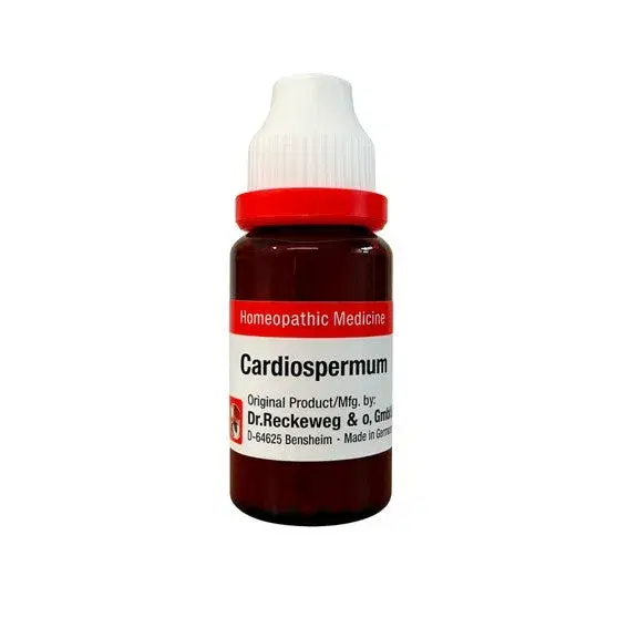 Dr. Willmar Schwabe India Cardiospermum Helicacabum Mother Tincture