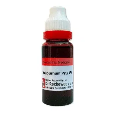 Wheezal Viburnum Prunifolium Q