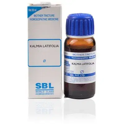 Wheezal Kalmia Latifolia Q