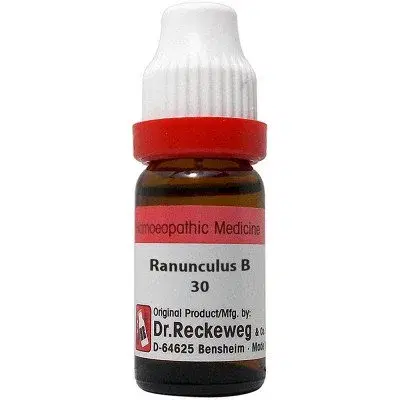 Wheezal Ranunculus Bulbosus Q