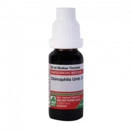 Adel Chimaphila Umb O